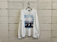TMT DRY COTTON L/S TEE (BEACH)